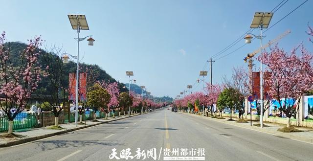 九游娱乐文化：贵阳市白云区：做足“花”文章激发文旅产业新活力(图5)